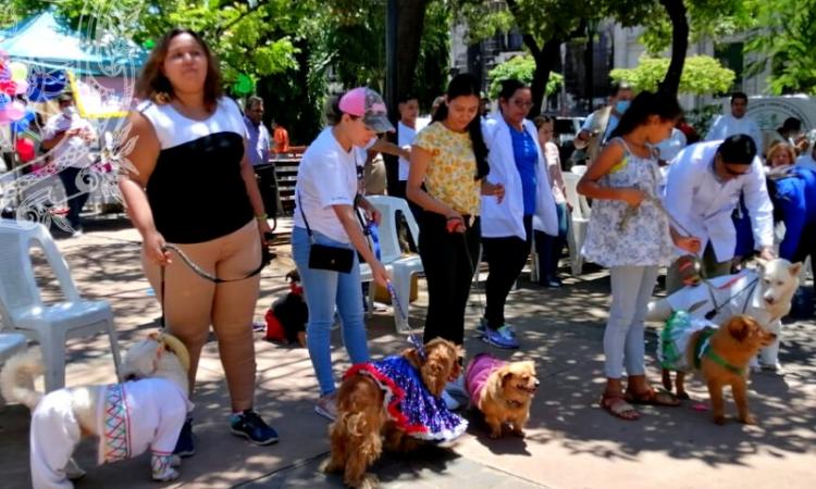 La UNAN-León Bicentenaria a través  la Escuela de Ciencias Agrarias y Veterinaria, ECAV participó en la "Feria Canina"