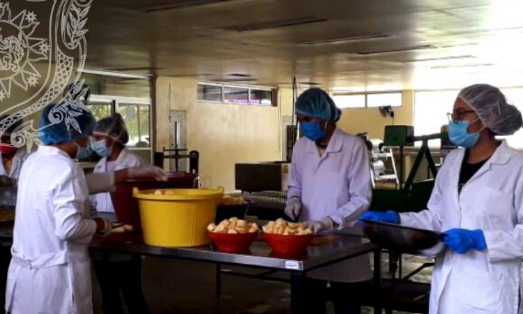 Estudiantes de la carrera de Ingeniería de Alimentos la UNAN-León Bicentenaria se integran a los procesos productivos de la planta piloto Mauricio Días Muller