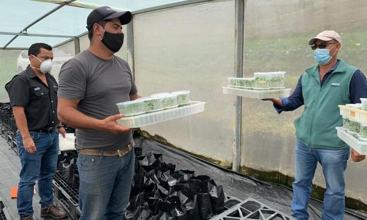 Científicos donan tiempo y conocimientos para impulsar a agricultores de Oreamuno