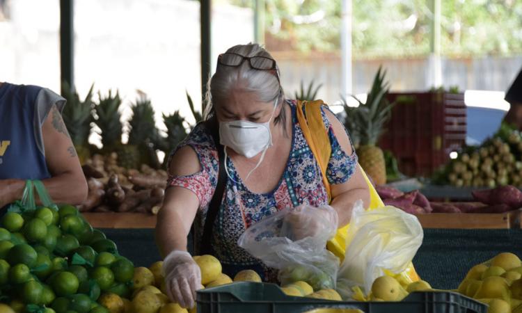 La agricultura costarricense se reinventa frente a la pandemia del COVID-19