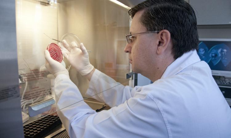 El Laboratorio Clínico y Banco de Sangre de la OBS-UCR ofrece más de 400 pruebas al público