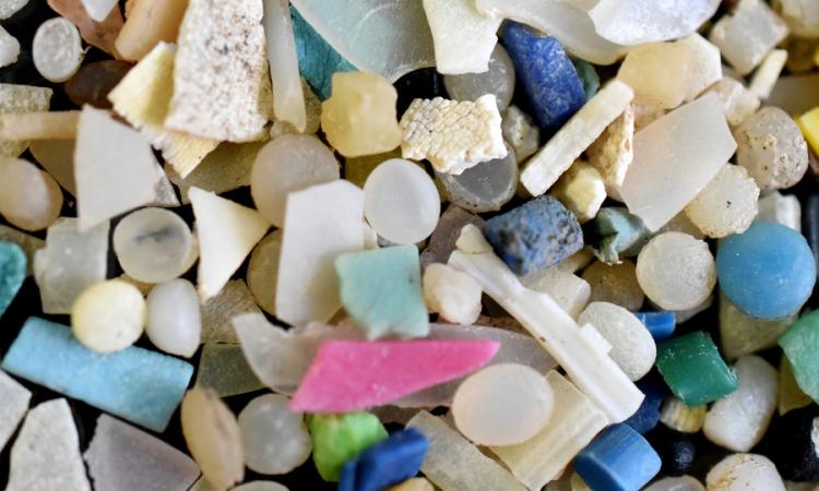 Los microplásticos deambulan por los océanos y playas de Costa Rica