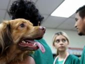  Clínica Veterinaria UES reanuda la atención a mascotas