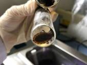 Científicos UES inician la segunda fase de investigación sobre el Chagas congénito