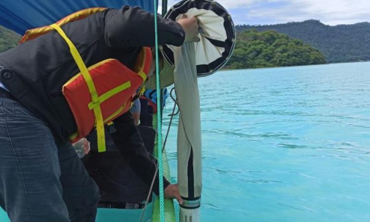 No se detecta proliferación de cianobacterias tóxicas en el Lago de Coatepeque