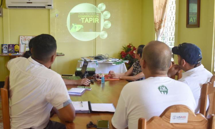 URACCAN promueve la protección del Tapir