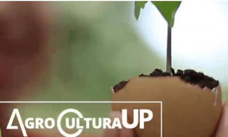 La Universidad de Panamá estrenará “Agrocultura UP”