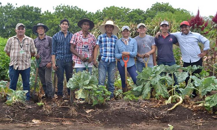 Estudiantes establecen modelo agroecológico en finca El Girasol