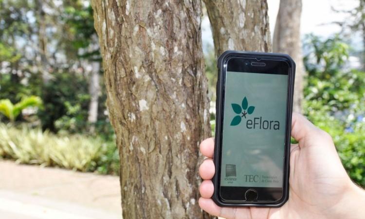 App eFlora, la nueva aliada para la educación ambiental y turística