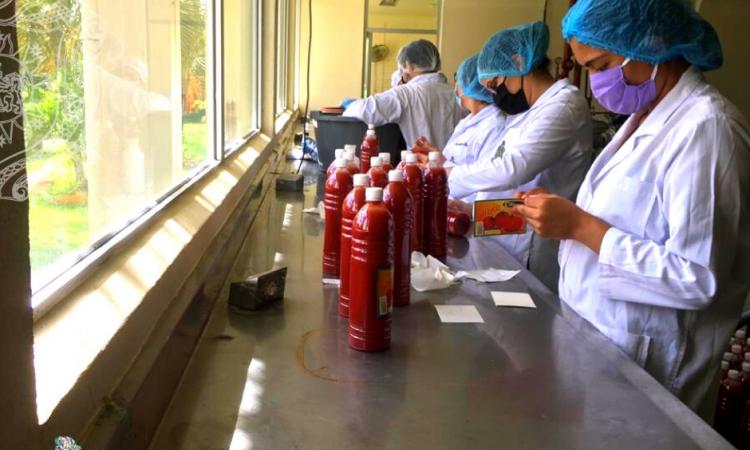 La carrera de Ingeniería de Alimentos en actividades productivas en la planta piloto de producción  “Mauricio Díaz Müller”