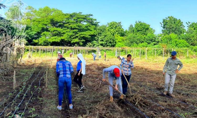 Estudiantes de la carrera de Ingeniería en Agroecología Tropical del ECAV realizaron prácticas de establecimiento y manejo de distintos cultivos.