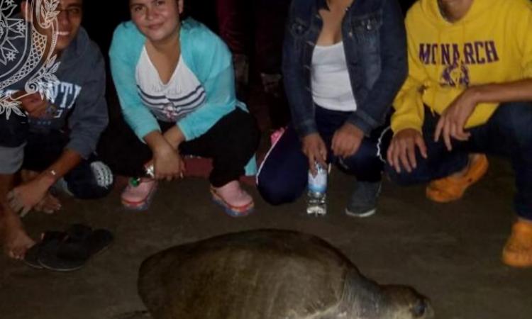 Estudiantes del CUR Jinotega de la UNAN León Bicentenaria realizaron voluntariado ambiental en el Refugio de Vida Silvestre, Playa La Flor
