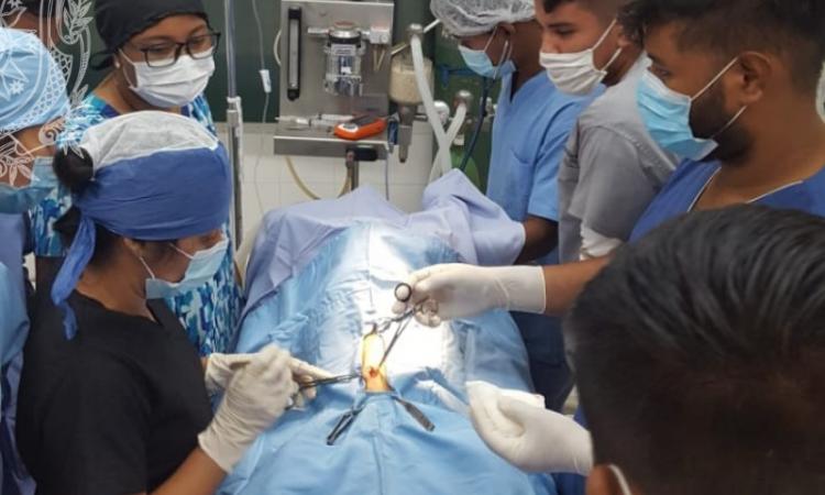 Estudiantes de la carrera de Medicina Veterinaria de la Escuela de Ciencias Agrarias y Veterinarias de la UNAN León Bicentenaria  realizan prácticas de cirugía