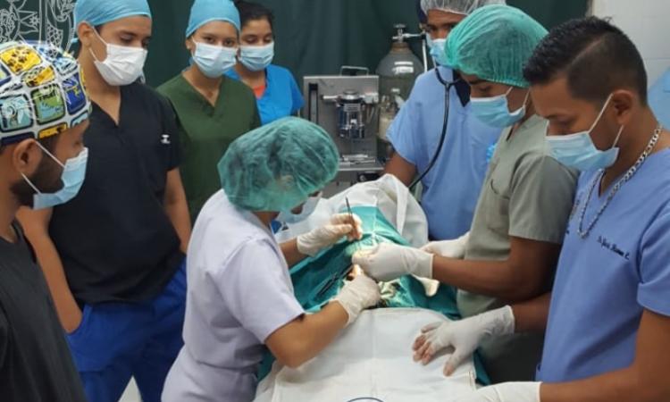 Estudiantes de la carrera de Medicina Veterinaria del ECAV realizan prácticas de cirugía (ovario histerectomía en perras)