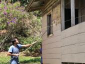 Espíritu Talamanca: estudiantes del TEC apoyan en la restauración de las escuelas en Talamanca