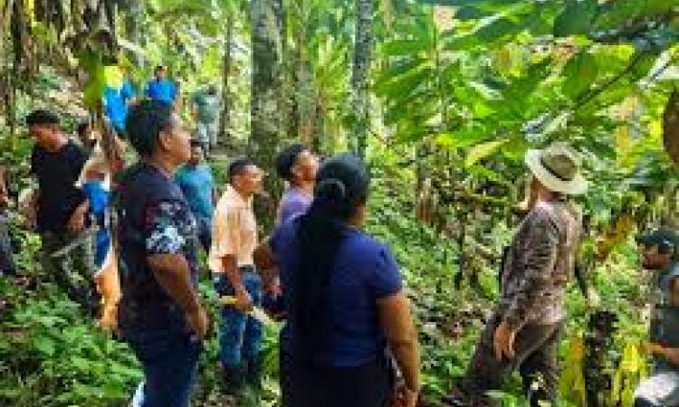 Cacao cambia vidas en Valle de la Estrella