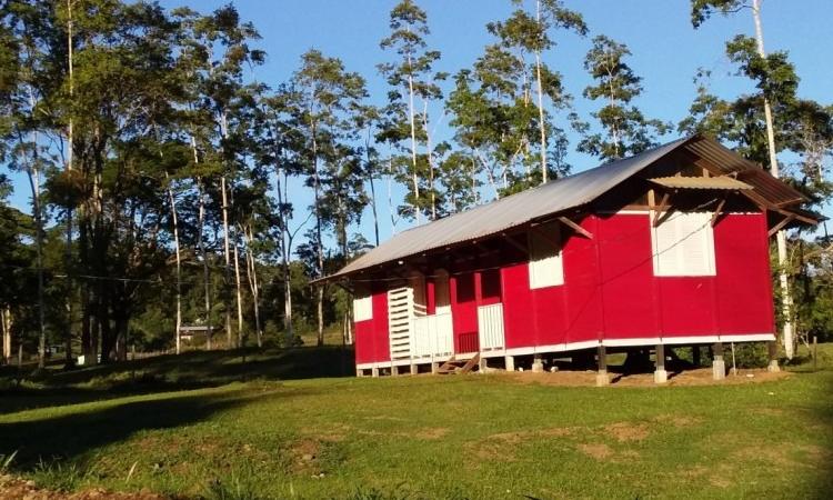 Madera: el material ideal para construir viviendas de interés social en territorios indígenas