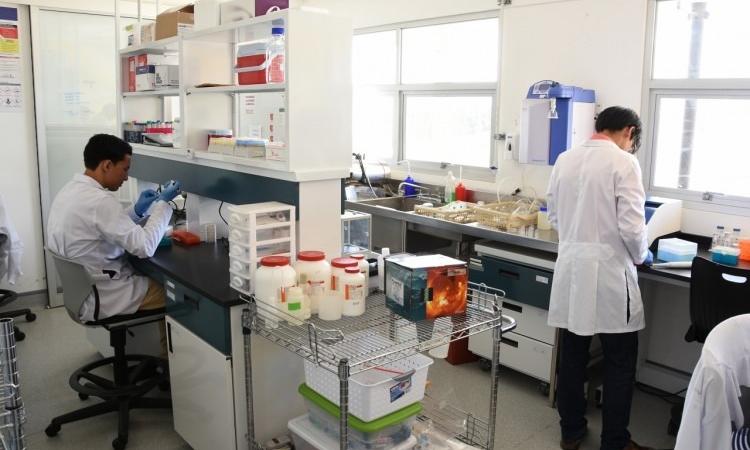 Ingeniería en Biotecnología consolida su calidad con reacreditación de SINAES