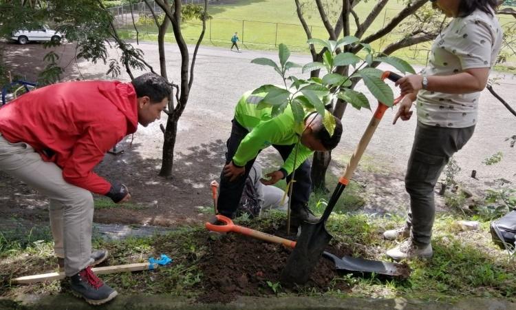 El Campus TEC San José se unió a jornada de siembra de árboles