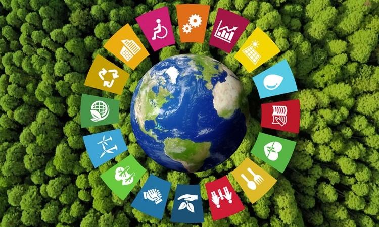 Sustentabilidad y calidad de vida protagonizan taller internacional del Doctorado en Ciencias Naturales