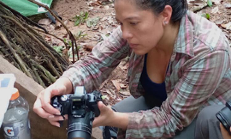Unachi y Asociación adopta un Bosque Panamá, realizan expedición a la reserva natural privada del Chorogo, Distrito de Barú