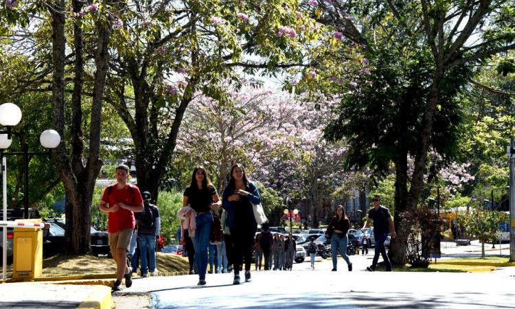 La UCR replantea estrategia para alcanzar la sostenibilidad ambiental en todos sus campus