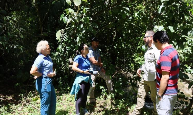 Funcionarios de la Escuela de Biología y de la Red de Áreas Protegidas de la UCR visitaron la Reserva Bilógica Alberto Manuel Brenes