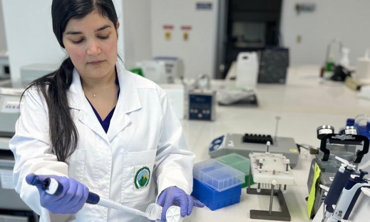 Un nuevo servicio diagnóstico contribuirá a detectar el cáncer de cérvix antes de su aparición