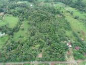 Parque Nacional del Agua y reserva universitaria se entrelazan con nuevos corredores biológicos