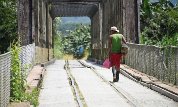 Hasta 84 horas de trabajo semanal en bananera de Limón