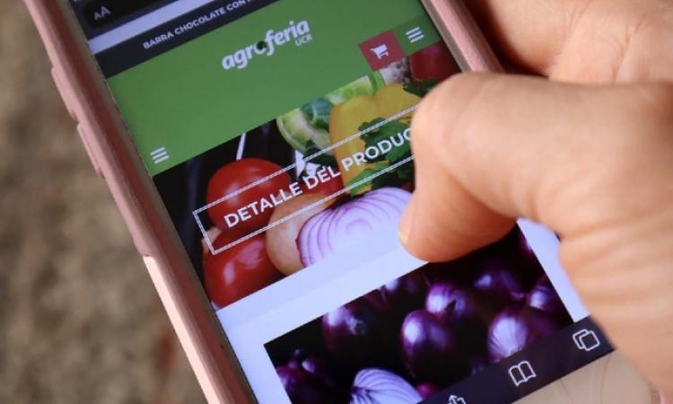 Investigan la influencia del comercio electrónico en las tendencias del consumo de alimentos