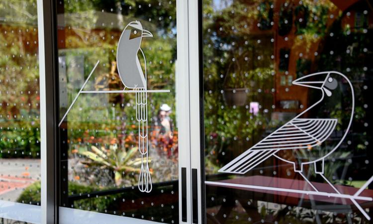 Intervención en edificios evitará que las aves pierdan la vida al chocar contra ventanalesn del Blog