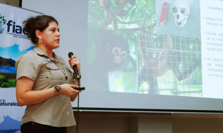 Abordan la necesidad de proteger las especies de primates en Mesoamérica 