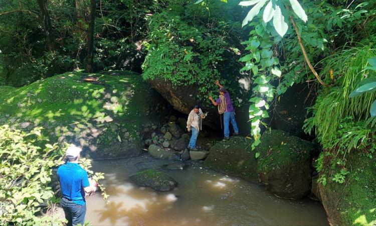 Investigadores de la UES descubren nuevas especies de plantas con propiedades antiparasitarias