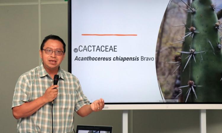 Registran presencia de 15 especies vegetales en El Salvador