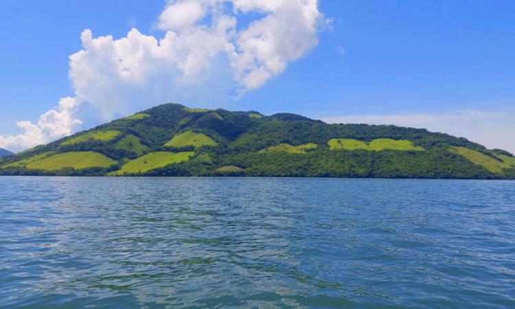 Detectan presencia de microalgas tóxicas en el Golfo de Fonseca