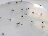 Investigador UES recomienda desarrollar estrategias para la prevención del dengue