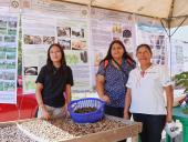 Realizan Festival del Ojushte en la UES 