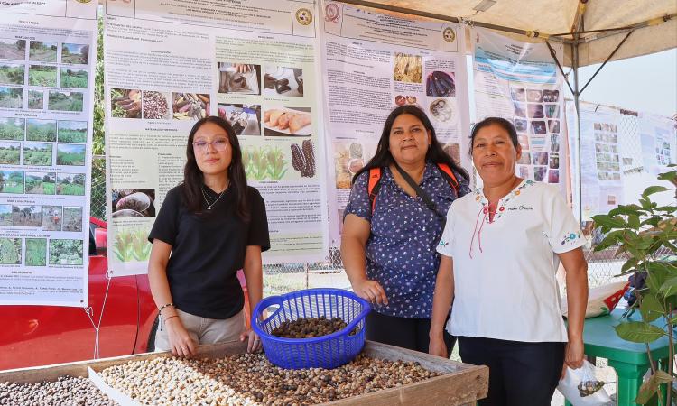 Realizan Festival del Ojushte en la UES 