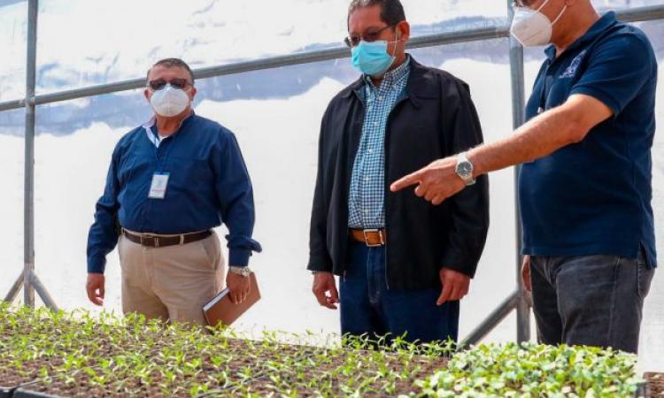 Familias de Mejicanos cultivarán huertos caseros con apoyo de la Facultad de  Ciencias Agronómicas