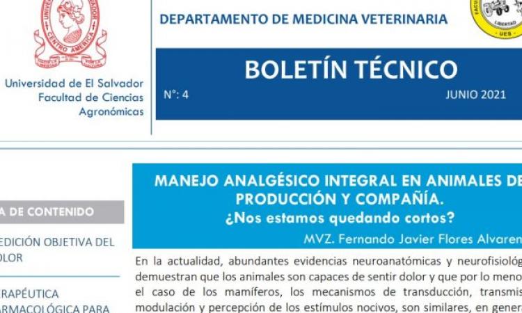 Ya está disponible la nueva edición del Boletín de Medicina Veterinaria dedicado al manejo de analgésicos en animales de producción y compañía