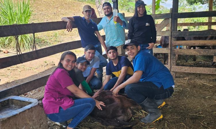 Estudiantes del primer año Medicina Veterinaria del Centro Universitario Regional de URACCAN en Nueva Guinea, desarrolla su primera práctica de campo.