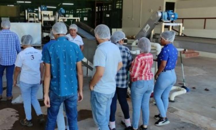  Estudiantes de la FCA visitan planta de exportación de piña
