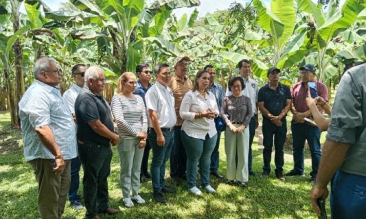 Delegación de la República Popular China y Gobernación de Chiriquí Visitan la FCA: Fortaleciendo la Vinculación Internacional en Proyectos Agropecuarios