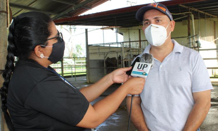 UP mantiene con gran éxito activa, la producción de leche grado A