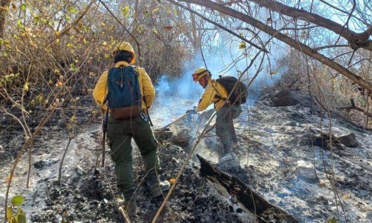 UNED lidera proyecto para la prevención de incendios forestales en áreas de conservación Guanacaste y Tempisque