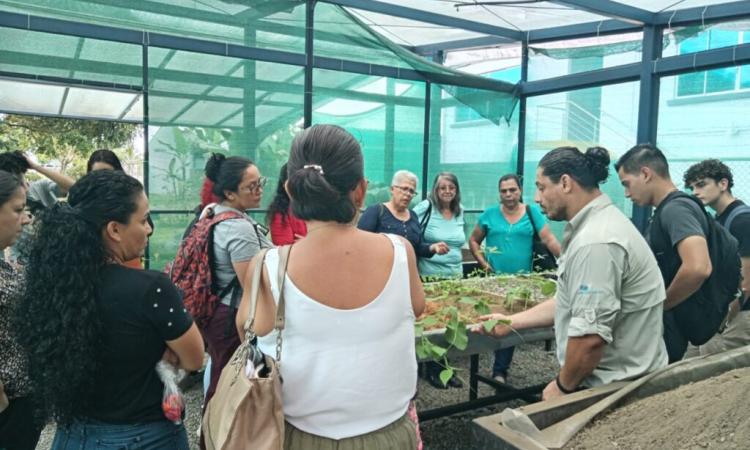 UNED Pérez Zeledón impulsa capacitación en sustratos para fortalecer la agricultura local