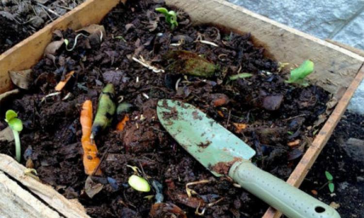Centro de Educación Ambiental promueve buenas prácticas en el manejo de residuos orgánicos caseros