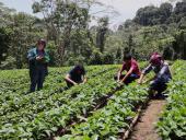 La investigación en la mejora de los procesos del Sector Agropecuario