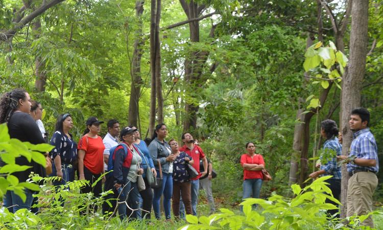 UNA anfitriona de la Jornada del Medio Ambiente organizada por la FEPDES